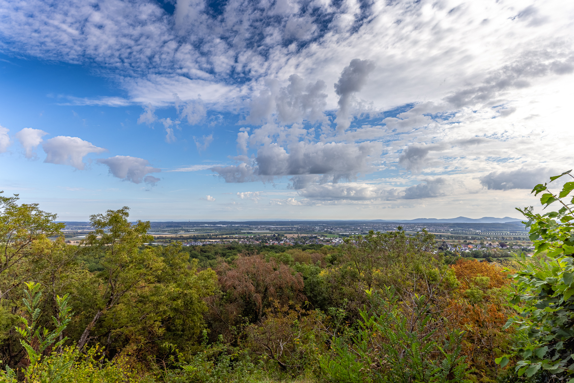 2026-09-FCa-032-Blick-von-der-Tomburg Blick vom Gelände der Tomburg auf die Ebene und das Siebengebirge