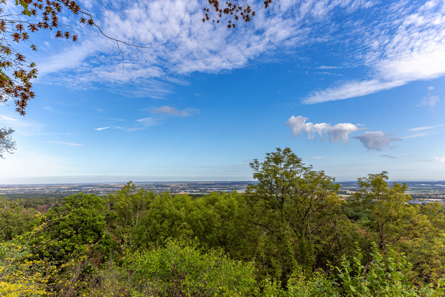 Blick vom Gel&auml;nde der Tomburg auf die Ebene