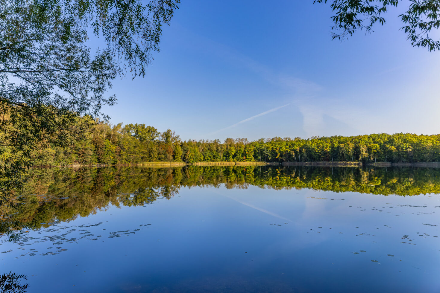 2026-10-FCa-060-Donatussee-Ville Der Donatussee im Villewald