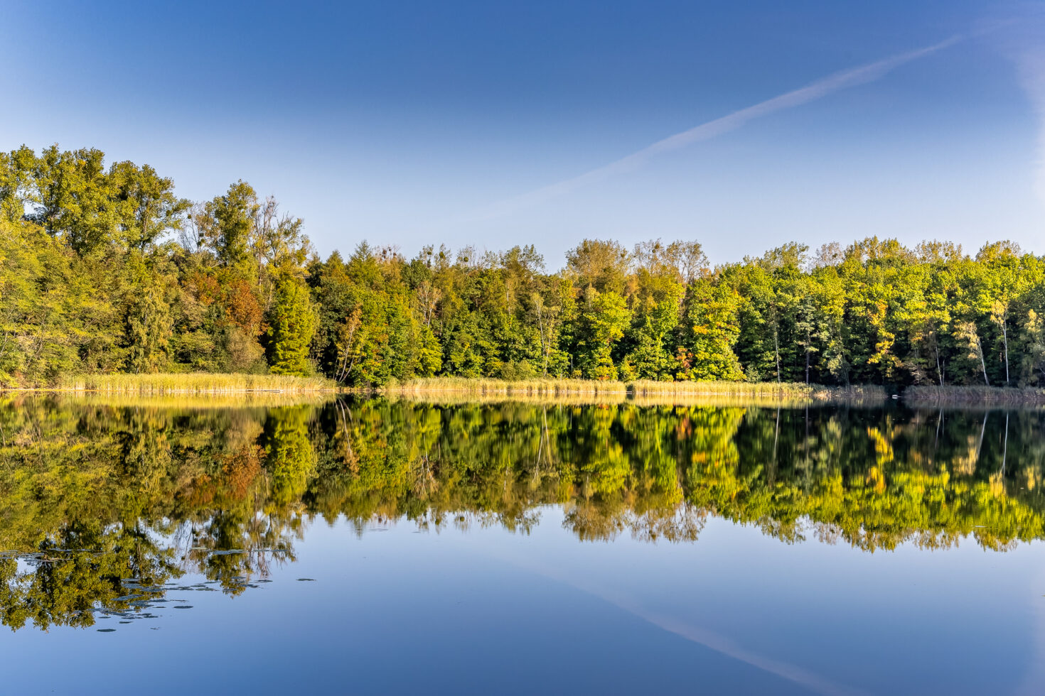 2026-10-FCa-061-Donatussee-Ville Der Donatussee im Villewald