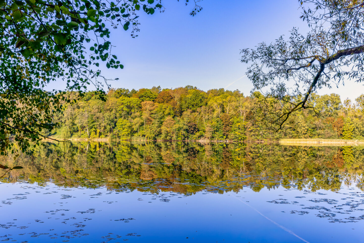 2026-10-FCa-062-Donatussee-Ville Der Donatussee im Villewald