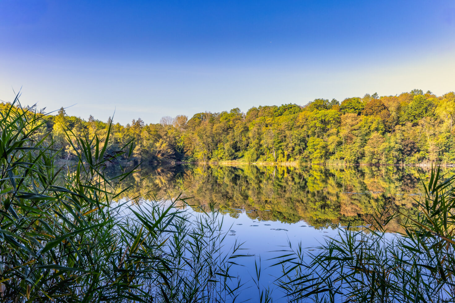 2026-10-FCa-063-Donatussee-Ville Der Donatussee im Villewald