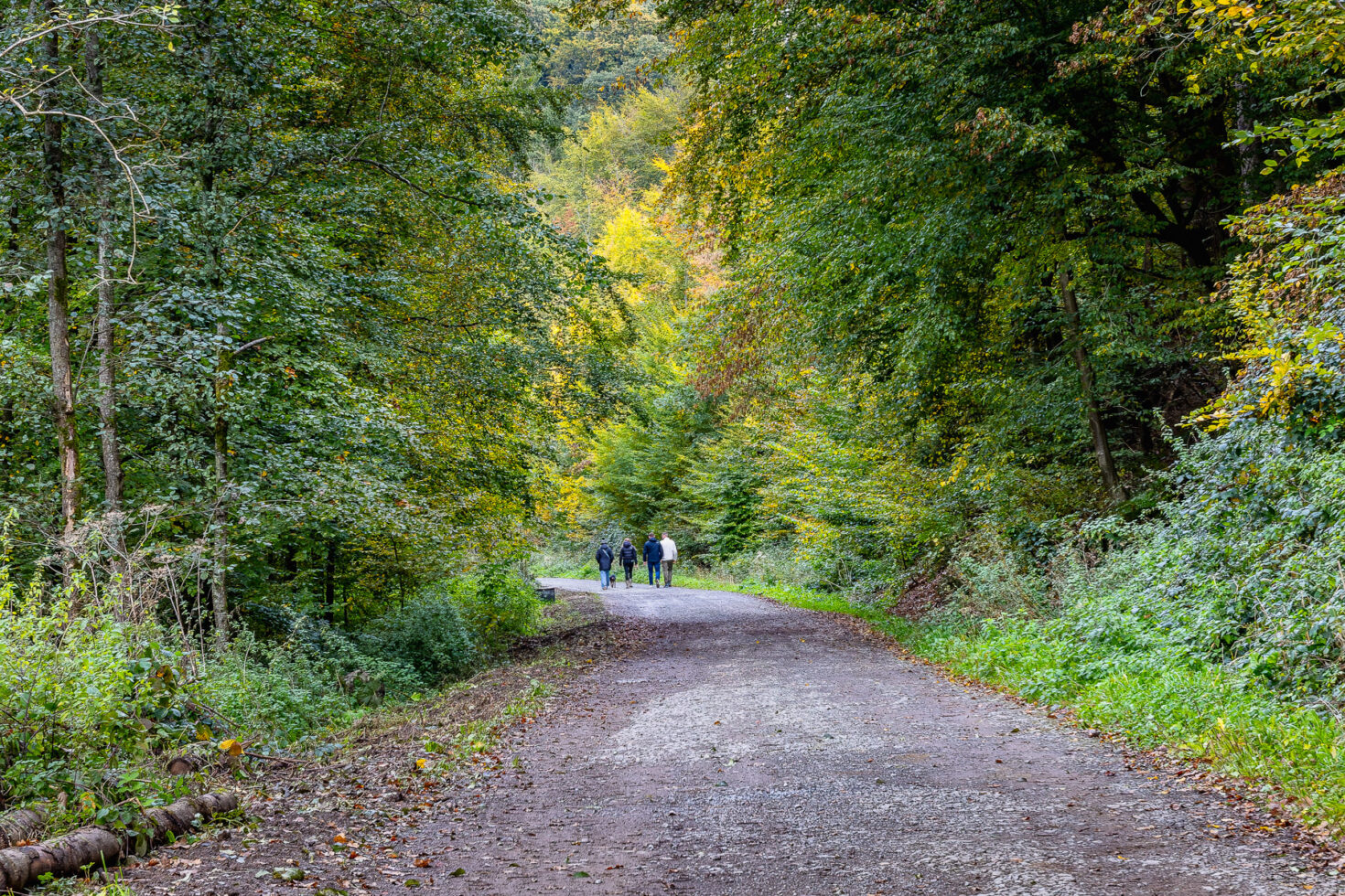 Fr&uuml;hherbst im Bergischen Land