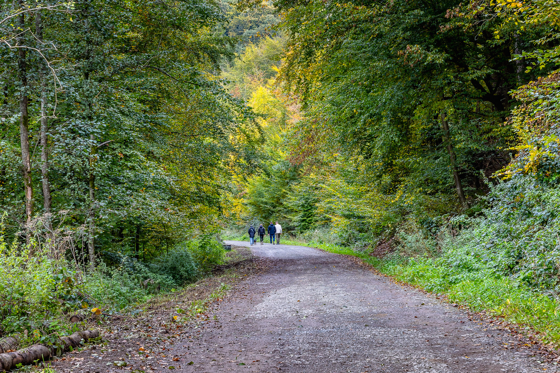 2026-10-FCa-100-Fruehherbst-Bergisches-Land Frühherbst im Bergischen Land