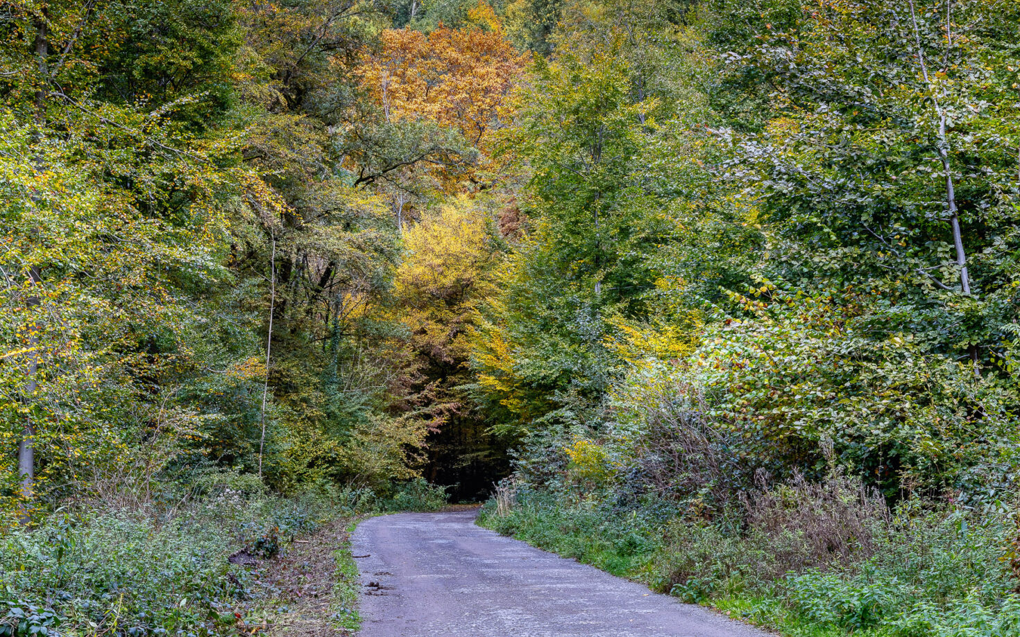 Fr&uuml;hherbst im Bergischen Land