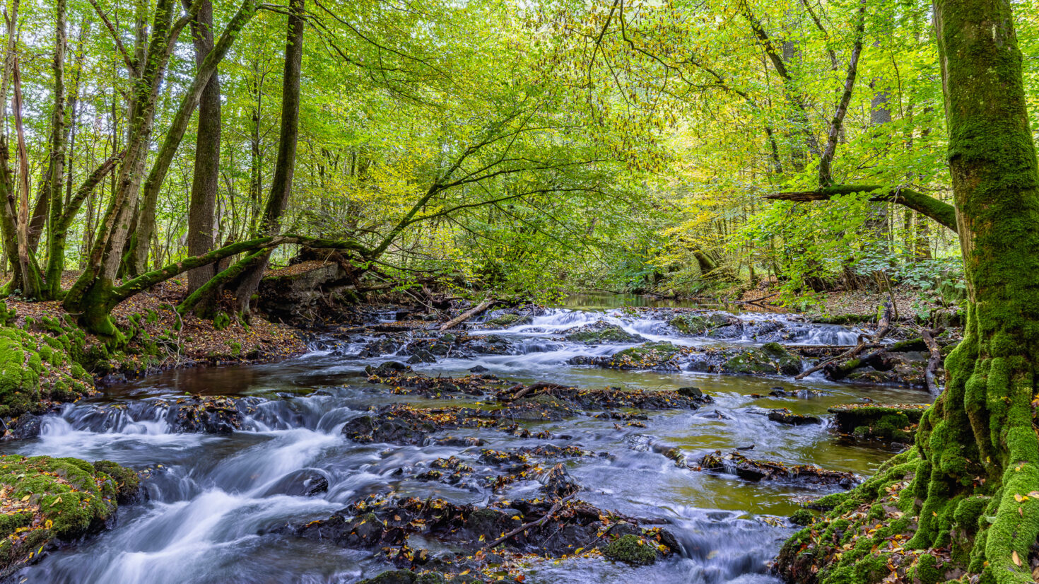Fr&uuml;hherbst im Bergischen Land