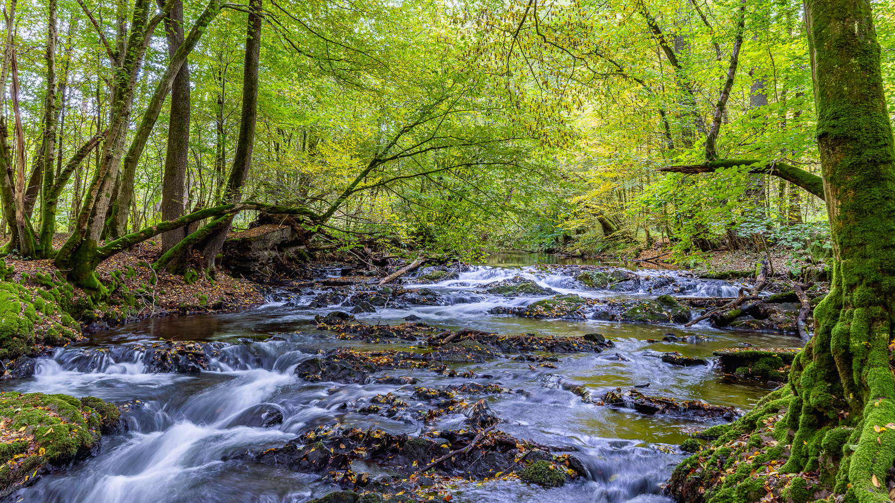 2026-10-FCa-103-Fruehherbst-Bergisches-Land Frühherbst im Bergischen Land