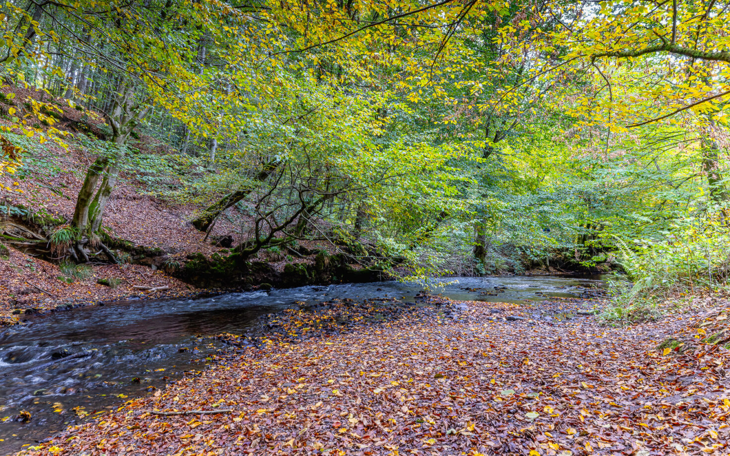 Fr&uuml;hherbst im Bergischen Land