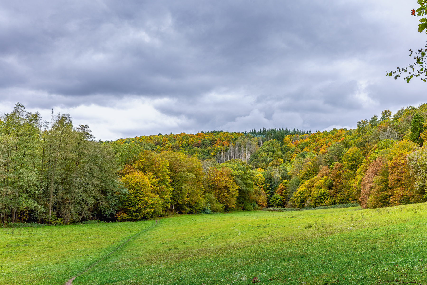 2026-10-FCa-105-Fruehherbst-Bergisches-Land Frühherbst im Bergischen Land