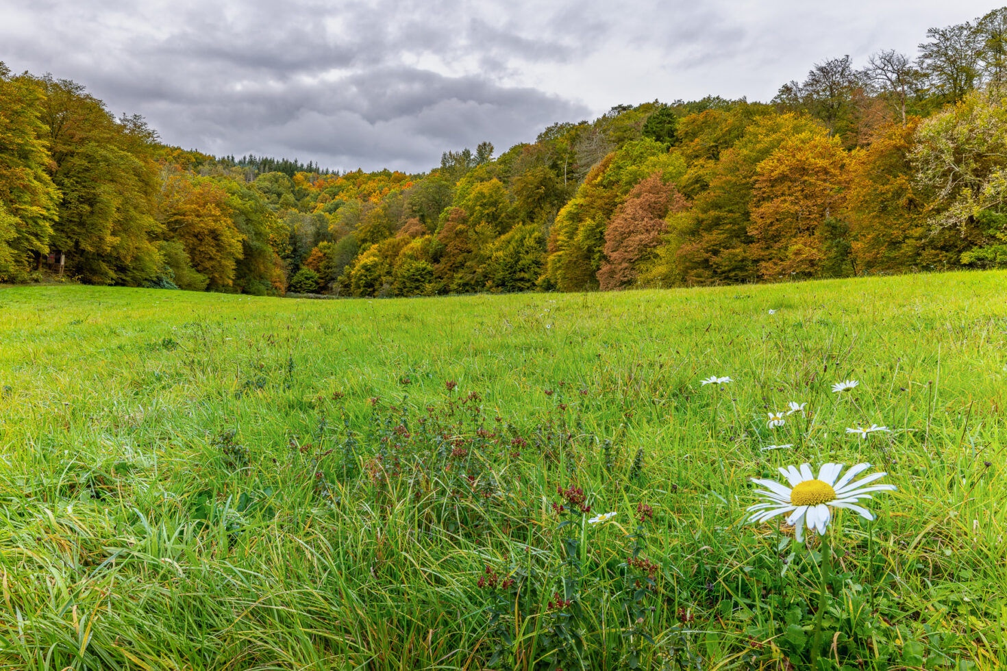 Fr&uuml;hherbst im Bergischen Land