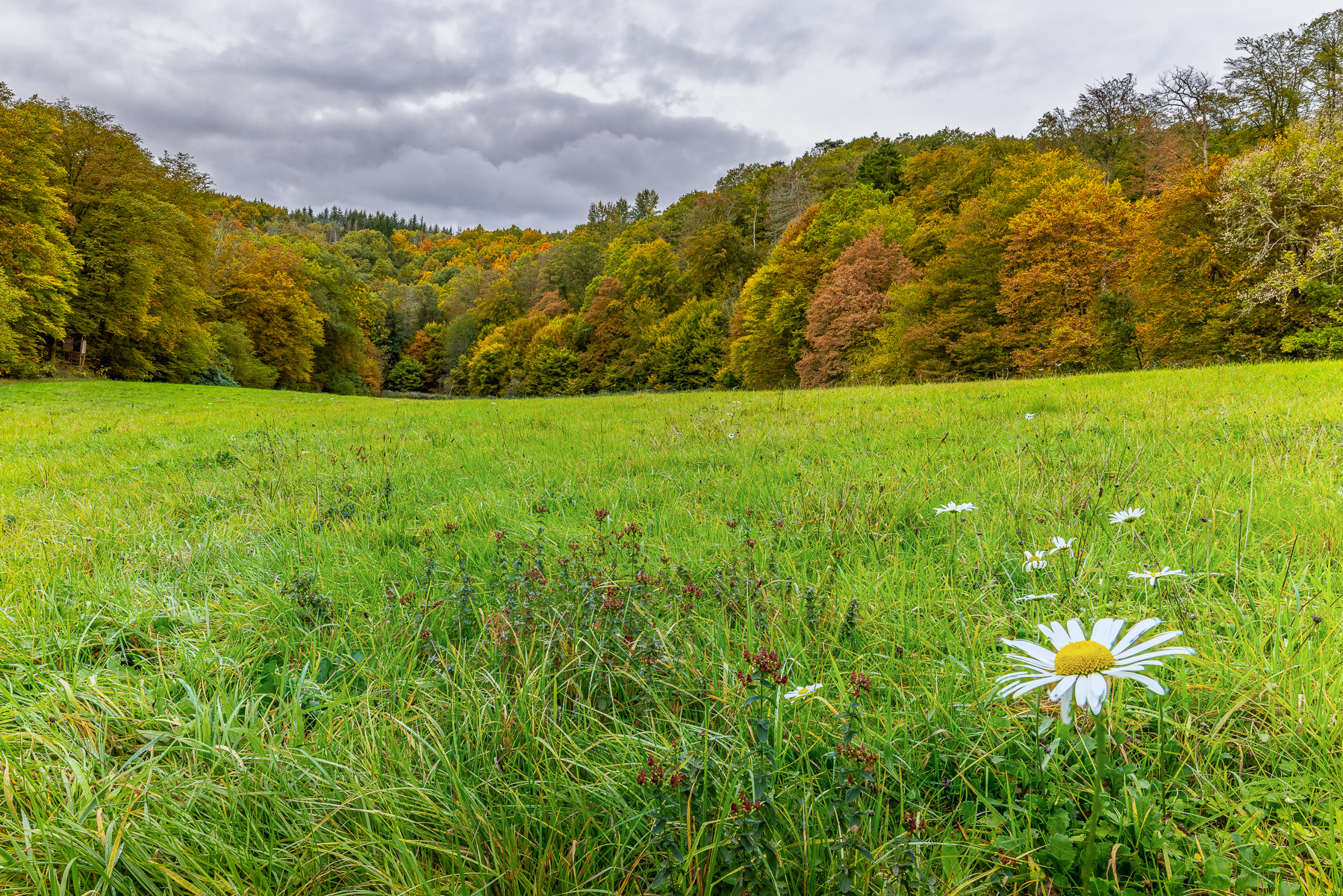 2026-10-FCa-106-Fruehherbst-Bergisches-Land Frühherbst im Bergischen Land