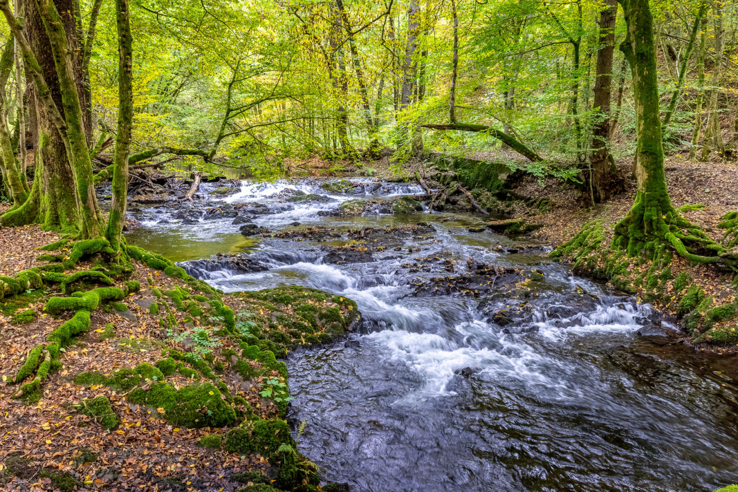 Fr&uuml;hherbst im Bergischen Land