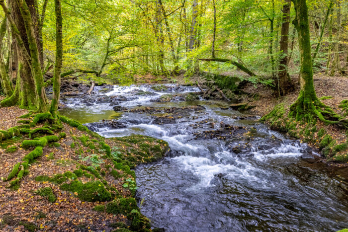 Frühherbst im Bergischen Land