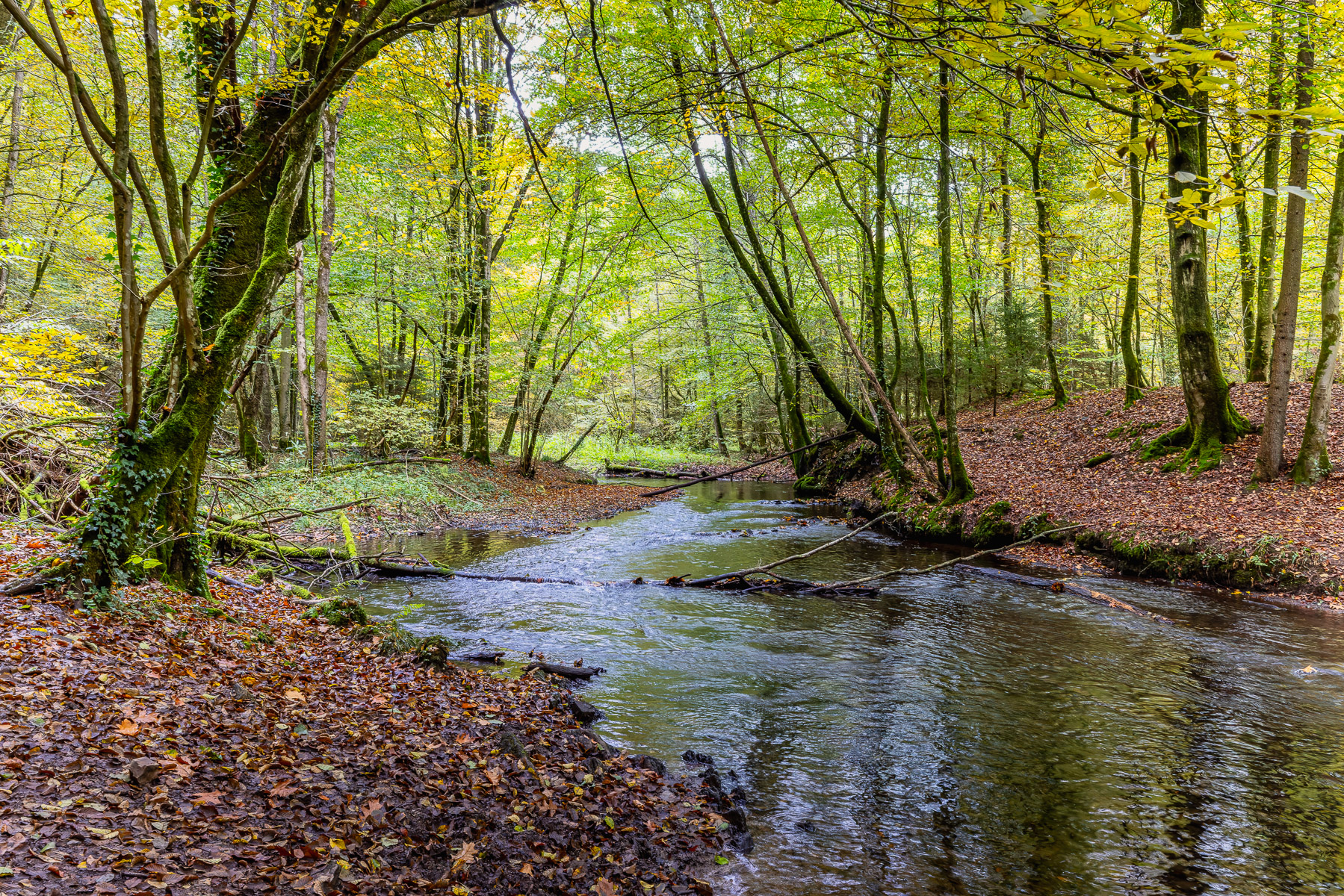 2026-10-FCa-108-Fruehherbst-Bergisches-Land Frühherbst im Bergischen Land